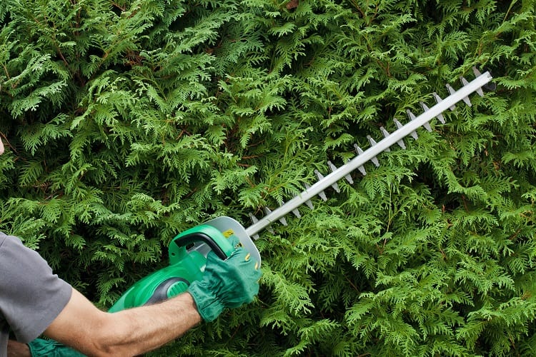 plant trimmer electric