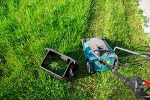 How to Use a Lawnmower Without the Bag Landscapingplanet