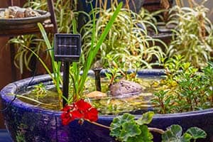 Do Solar Water Features Need Electricity? – Landscapingplanet