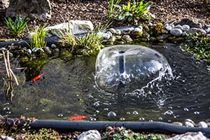 Do Water Fountains Use a Lot of Electricity? – Landscapingplanet – Learning  to create the most beautiful garden.