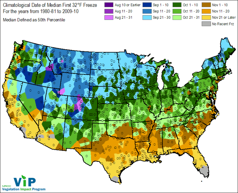 Covering Your Plants: At What Temperature & How? – Landscapingplanet ...