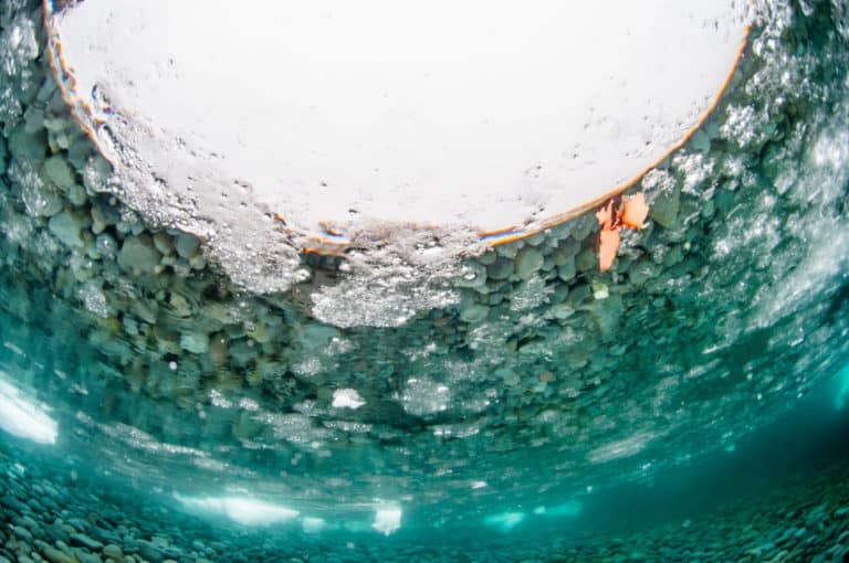 What to Do if Your Fish Pond Freezes Over? Learning to create the most