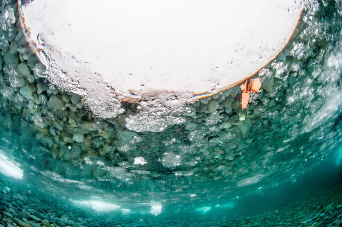 What to Do if Your Fish Pond Freezes Over?